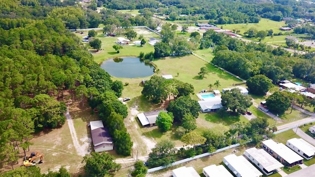 7308 Alure Ln, New Port Richey, FL 34653 - photo 27