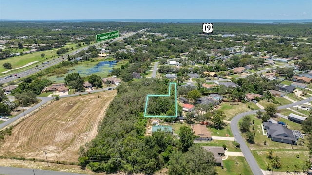 194 Dartmouth Ave, Spring Hill, FL 34606 - photo 10