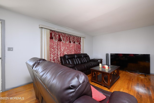 living room with wood-type flooring