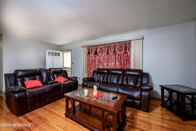 living room featuring hardwood / wood-style flooring