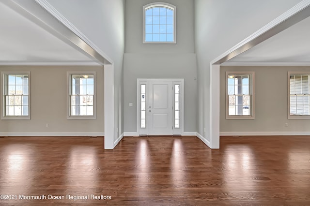 entrance foyer featuring plenty of natural light, dark hardwood / wood-style flooring, and ornamental molding