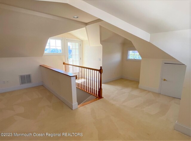 bonus room with lofted ceiling, a wealth of natural light, and light carpet