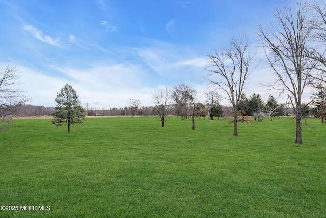 view of yard featuring a rural view