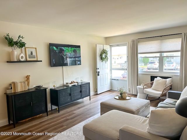 living room with baseboards and wood finished floors