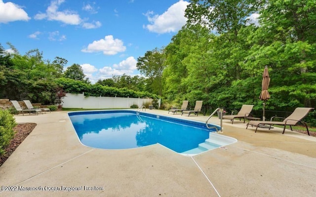 view of pool featuring a patio area