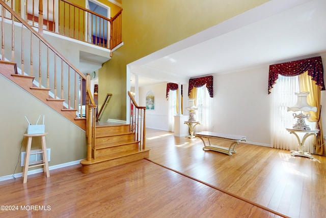 entryway with light hardwood / wood-style floors and a wealth of natural light