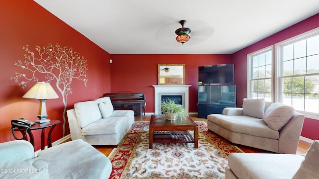 living room featuring ceiling fan and hardwood / wood-style flooring