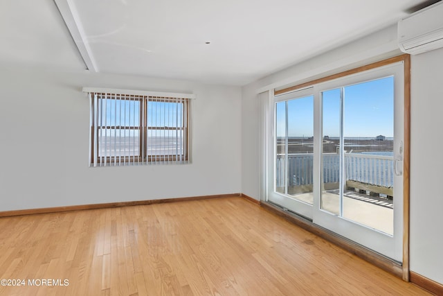 empty room featuring plenty of natural light and light hardwood / wood-style flooring