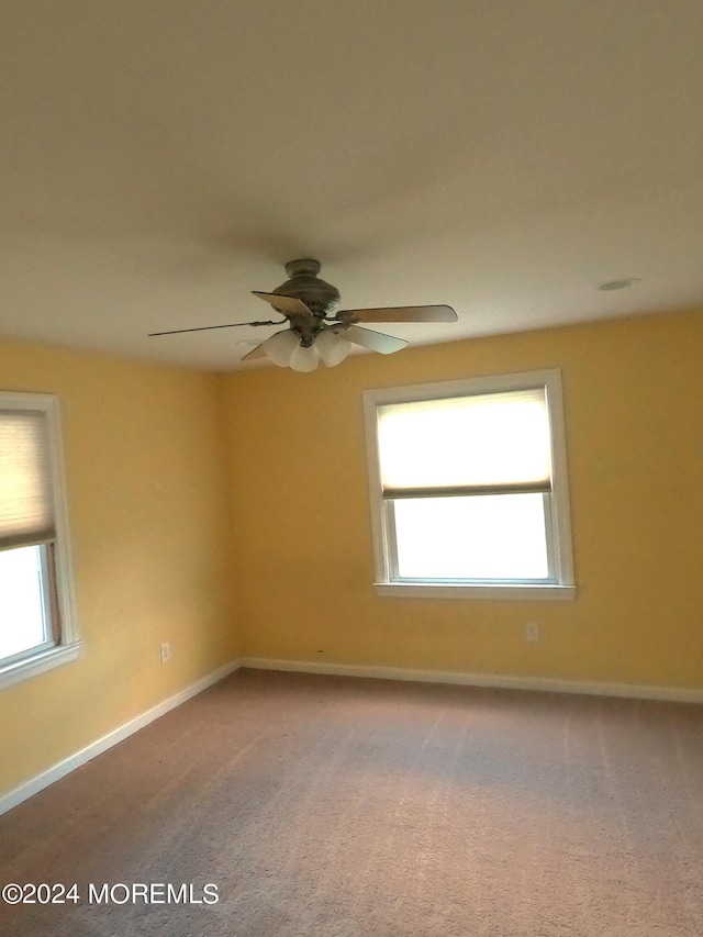 carpeted spare room with ceiling fan and a healthy amount of sunlight