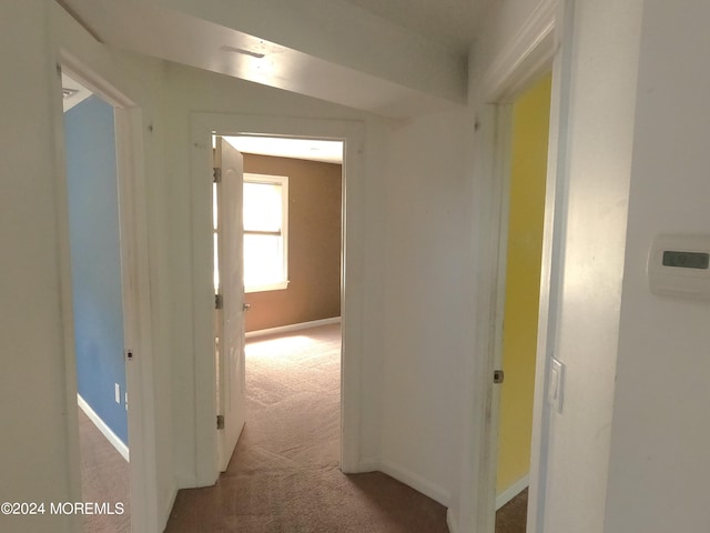 corridor featuring carpet and lofted ceiling