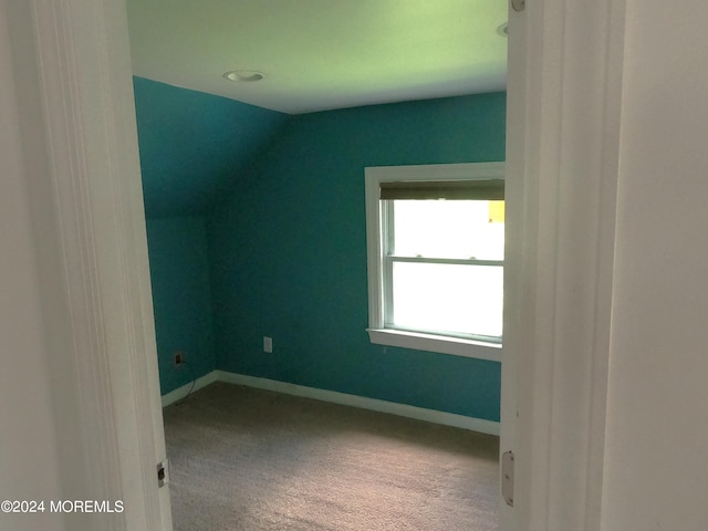 bonus room with carpet flooring