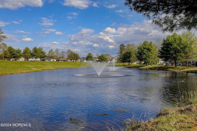 view of water feature