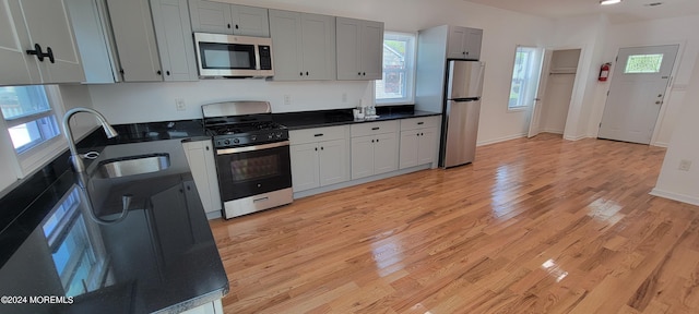 kitchen with light hardwood / wood-style floors, sink, and stainless steel appliances