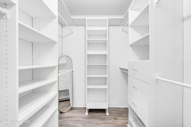 spacious closet featuring hardwood / wood-style flooring