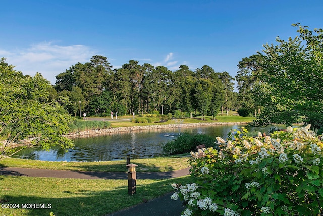 view of water feature