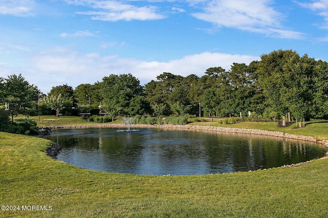 view of water feature