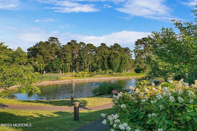 view of water feature