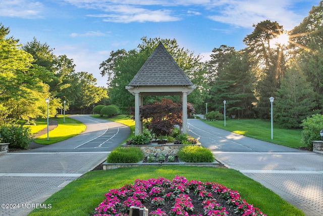 surrounding community with a lawn