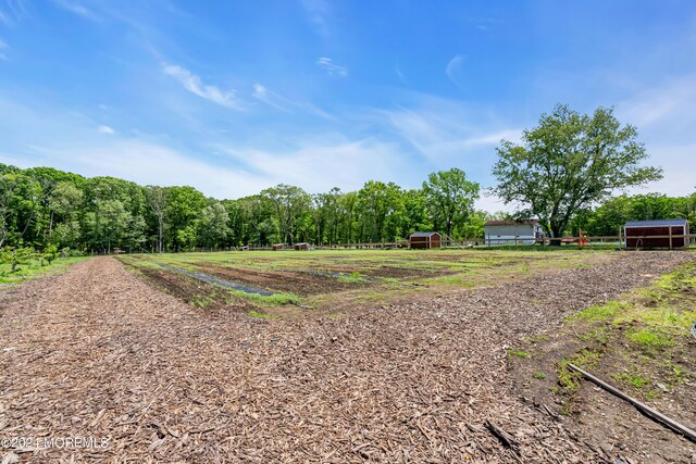 view of yard with a rural view