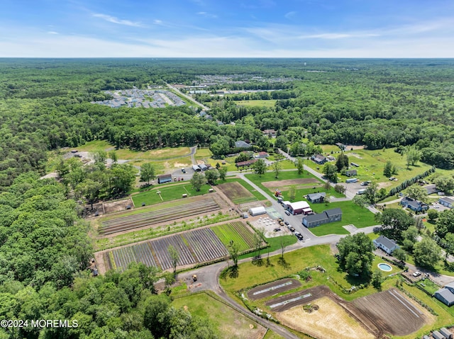 drone / aerial view