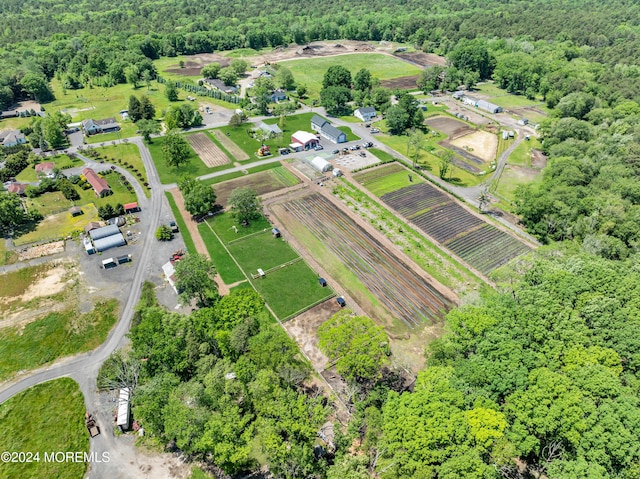 bird's eye view