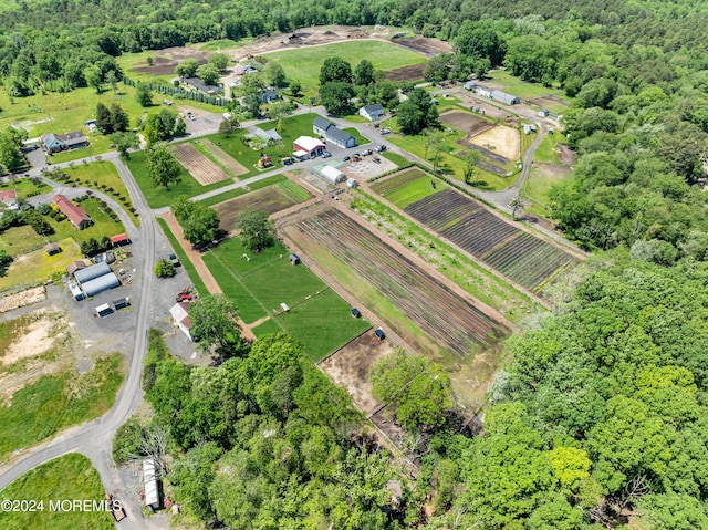 drone / aerial view featuring a rural view