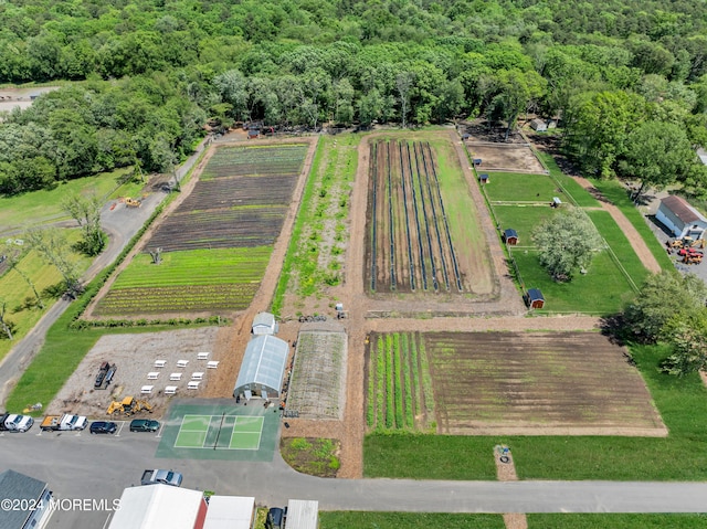 drone / aerial view