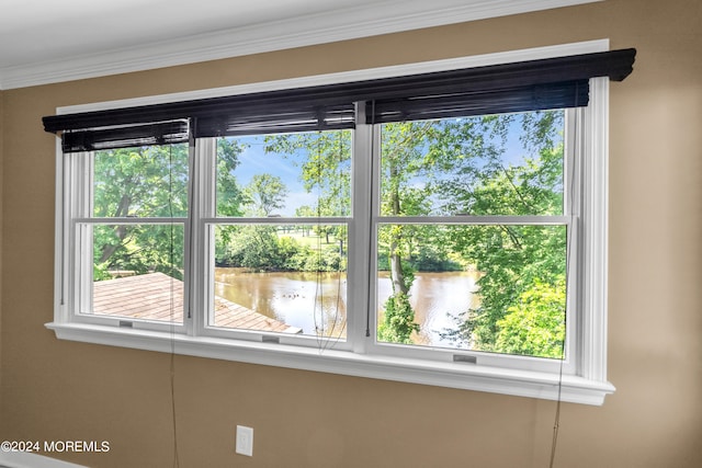 details featuring ornamental molding and a water view