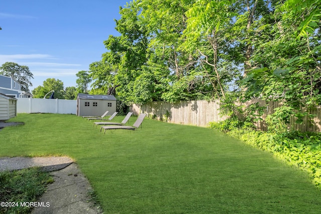 view of yard featuring a shed