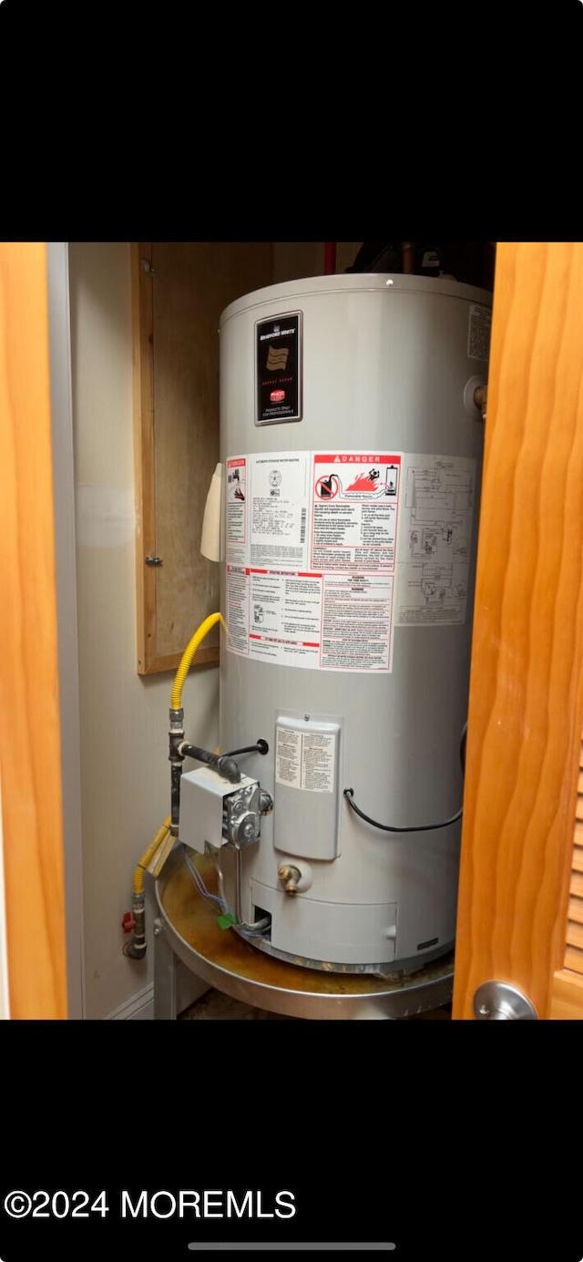 utility room featuring gas water heater