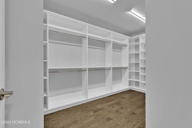 walk in closet featuring dark hardwood / wood-style floors