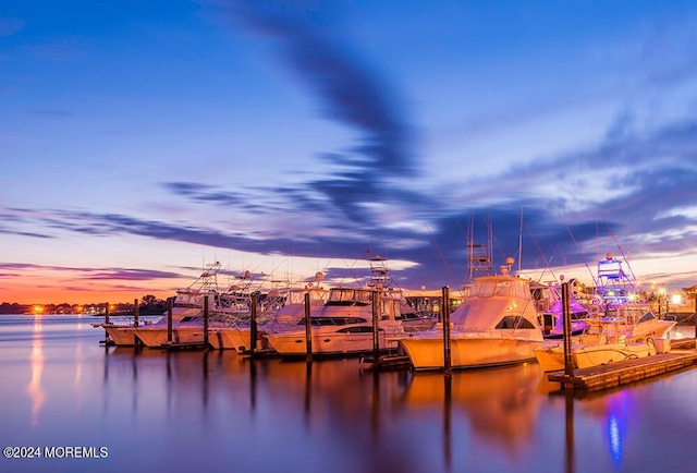 property view of water with a boat dock