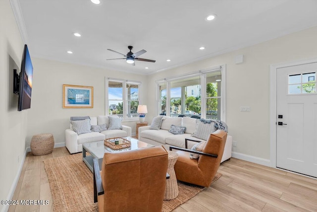 living room featuring crown molding, ceiling fan, and light wood-type flooring