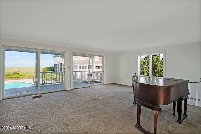 unfurnished office featuring ornamental molding and carpet flooring