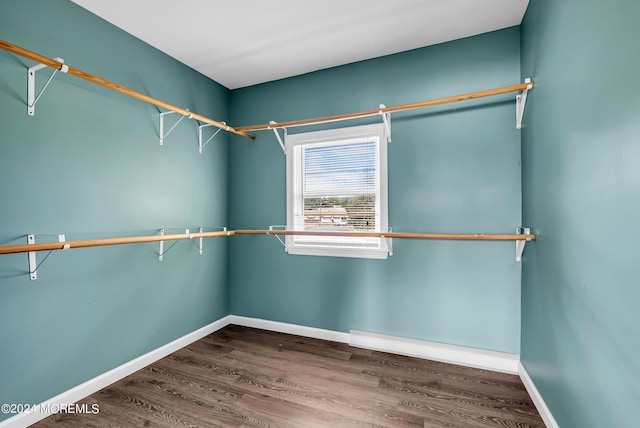 spacious closet featuring dark wood-type flooring