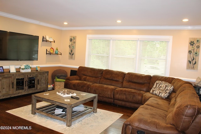 living room featuring ornamental molding and dark hardwood / wood-style flooring