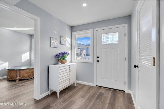 foyer with hardwood / wood-style floors