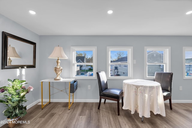 dining room with wood-type flooring