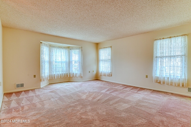 carpeted empty room featuring a textured ceiling and a healthy amount of sunlight