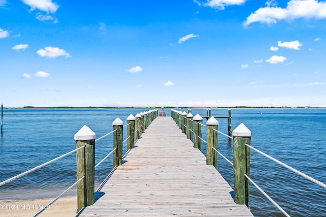 dock area with a water view