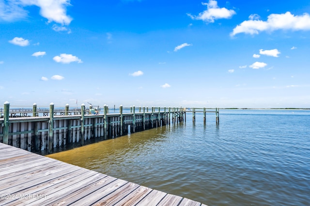 dock area with a water view