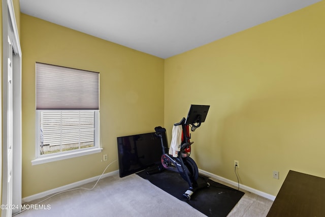 workout room with light carpet