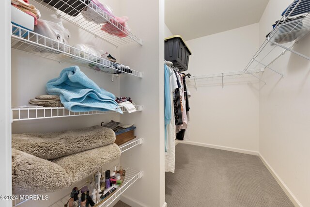 walk in closet with carpet flooring