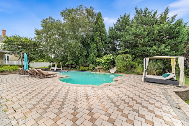 view of pool with a patio