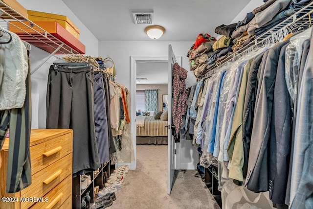 spacious closet with carpet