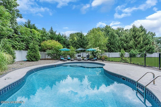 view of pool with a patio