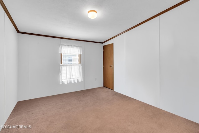 carpeted spare room featuring a textured ceiling and crown molding