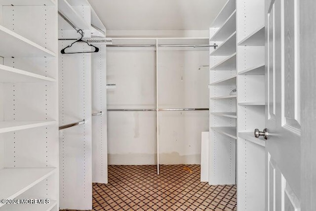 view of spacious closet