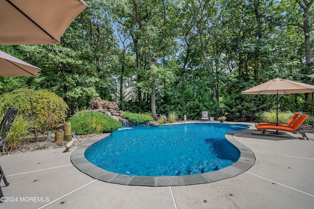 view of pool with a patio