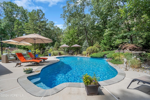 view of swimming pool featuring a patio area